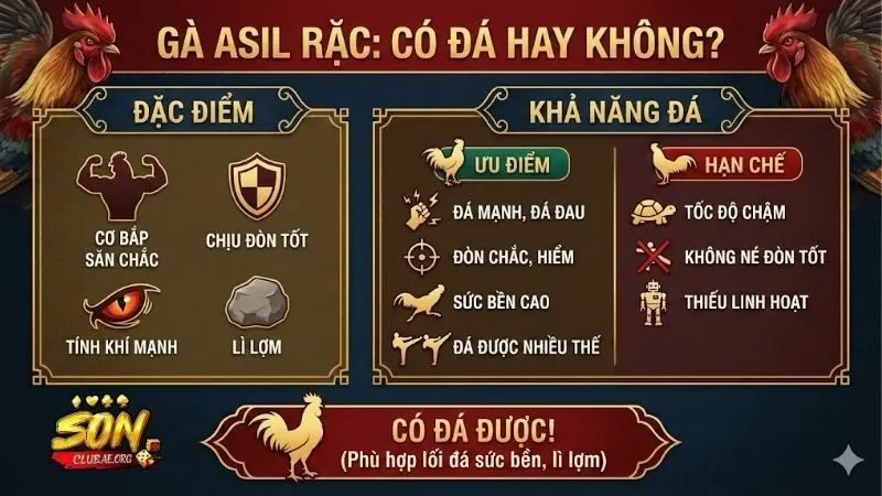 ga-asil-rac-co-da-hay-khong-giai-ma-suc-manh-chien-binh